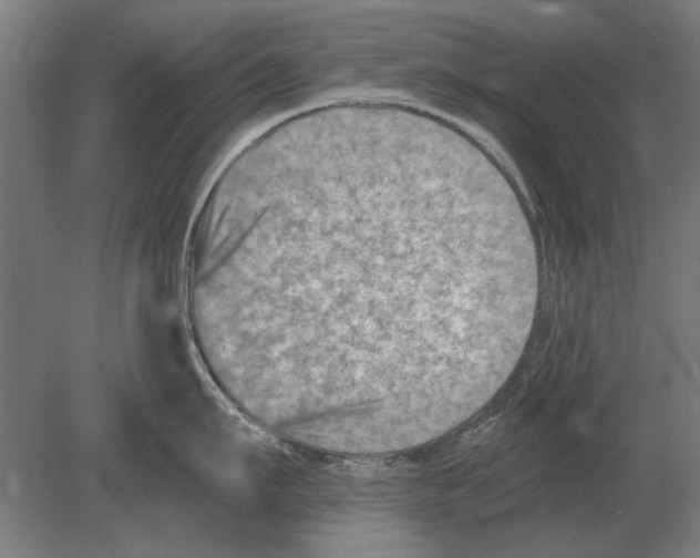 X0000080200911200701051745