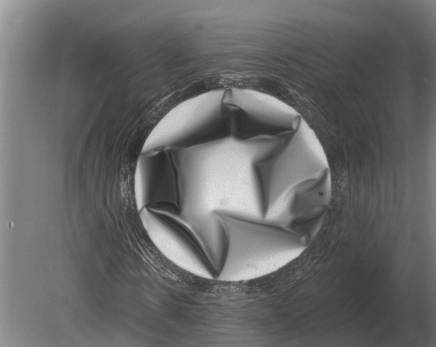 X0000080200914200701051745