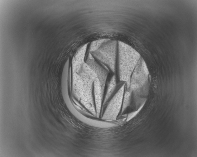 X0000080200916200701051745