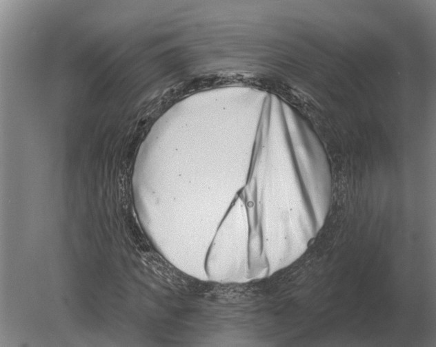 X0000080200917200701051745