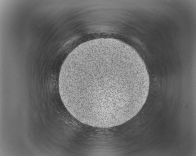 X0000080200918200701051745