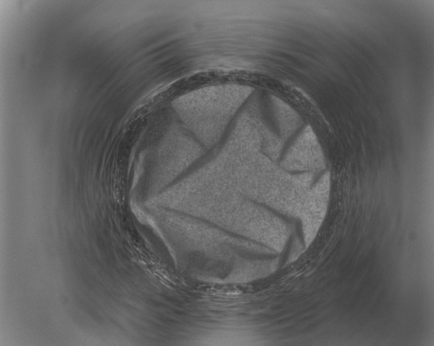 X0000080200919200701051745