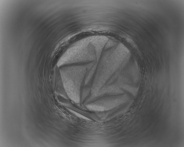 X0000080200920200701051745