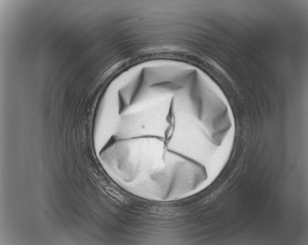 X0000080200921200701051745