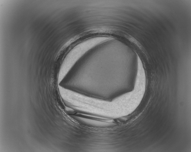 X0000080200922200701051745