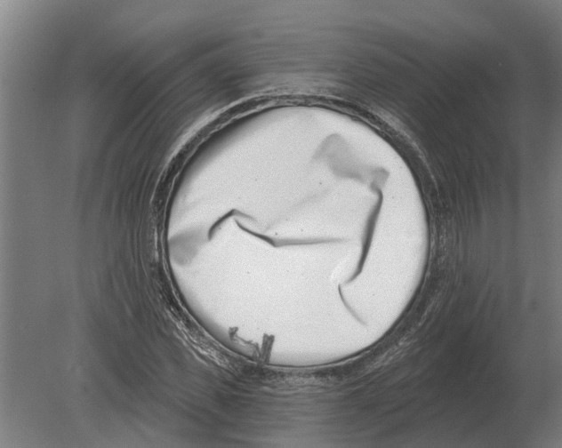 X0000080200925200701051745