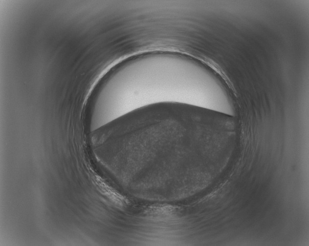 X0000080200926200701051745