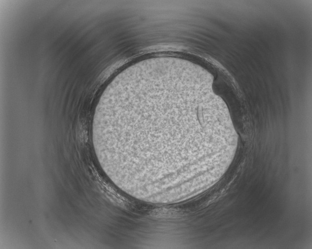 X0000080200929200701051745