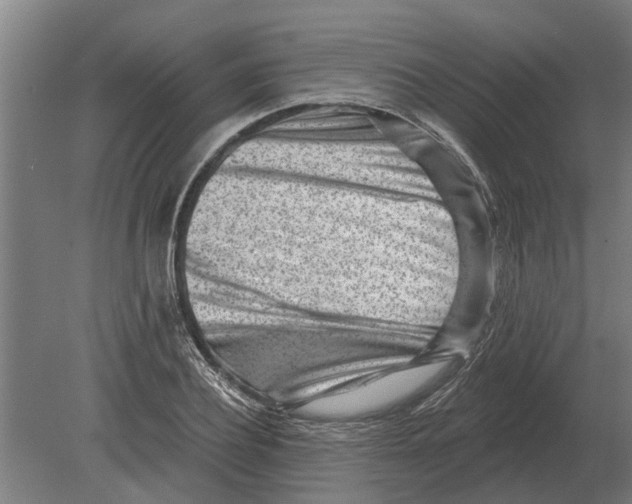 X0000080200932200701051745