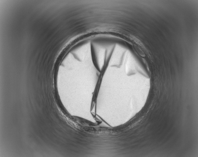 X0000080200934200701051745