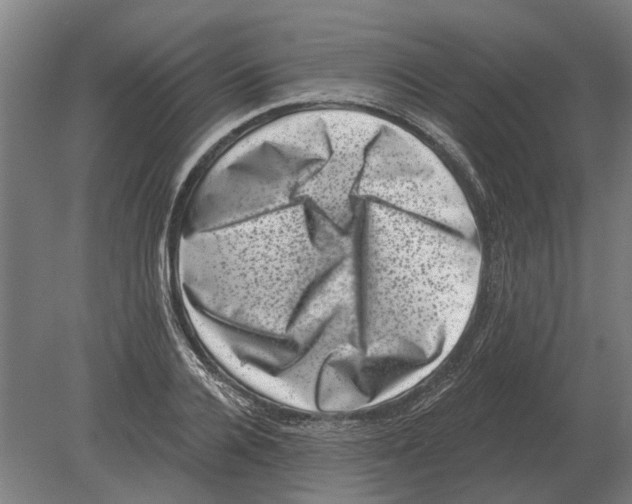 X0000080200936200701051745