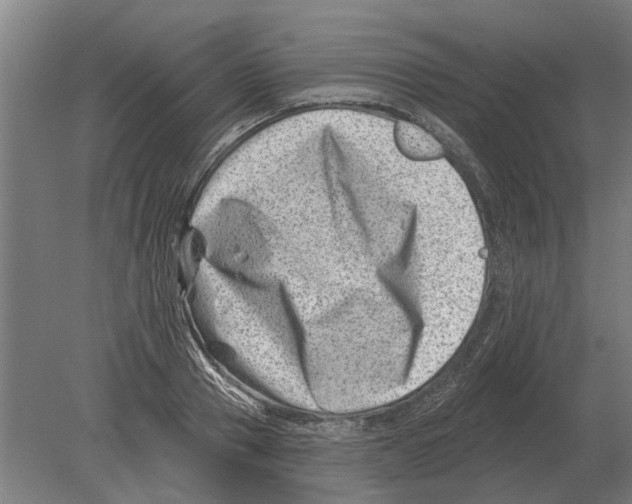 X0000080200937200701051745