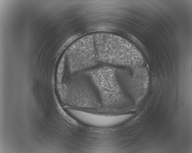 X0000080200938200701051745