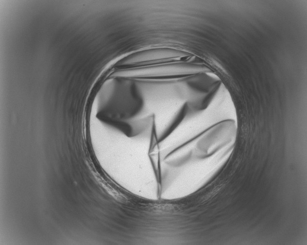 X0000080200940200701051745