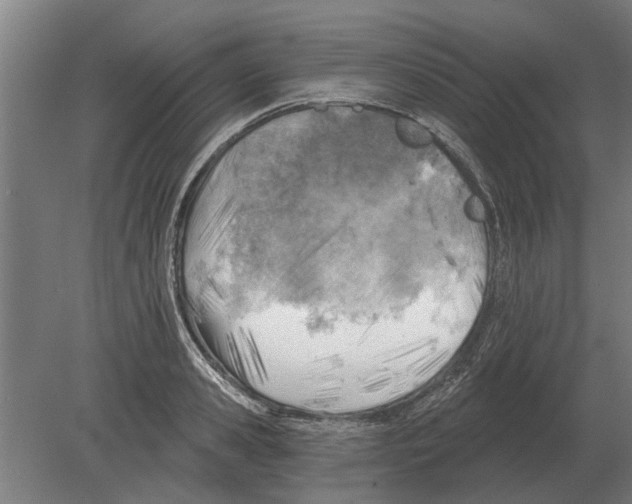 X0000080200941200701051745