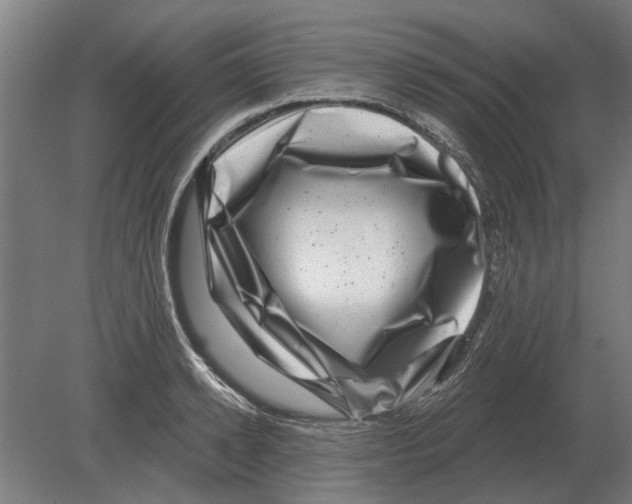 X0000080200942200701051745