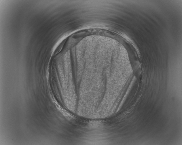 X0000080200944200701051745