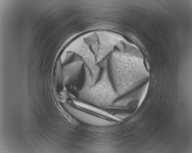 X0000080200948200701051745