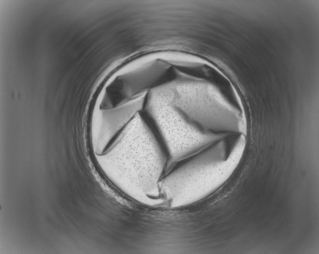 X0000080200949200701051745