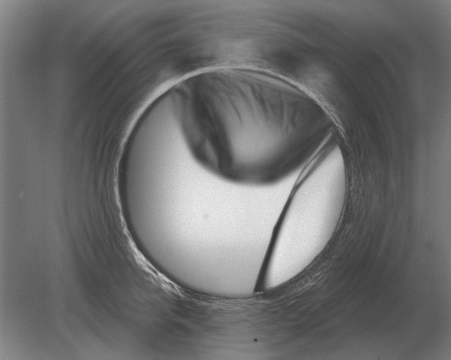 X0000080200950200701051745