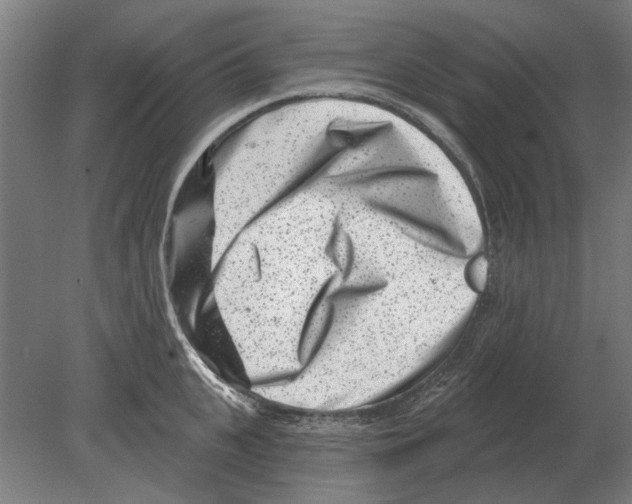 X0000080200951200701051745