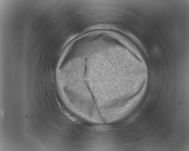 X0000080200953200701051745