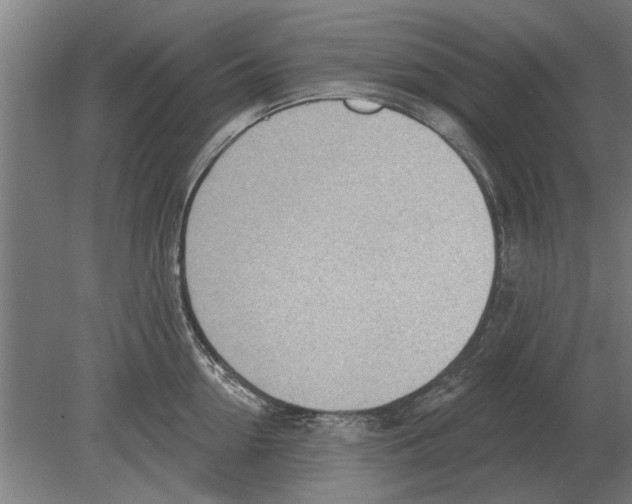 X0000080200954200701051745