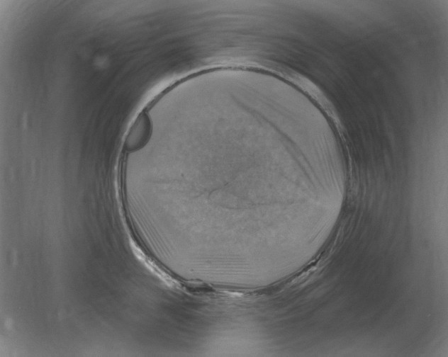 X0000080200958200701051745