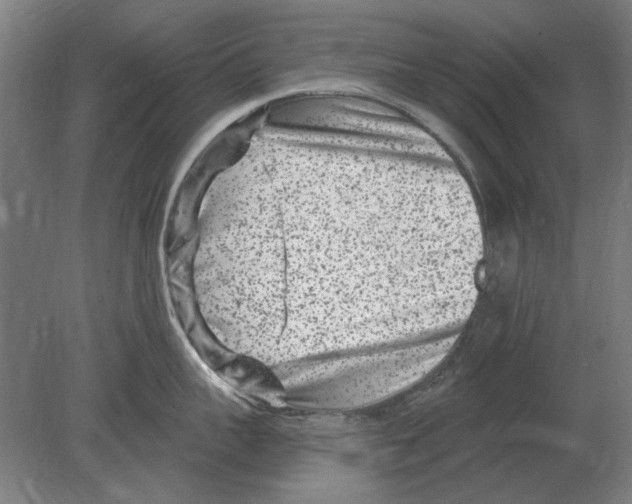 X0000080200959200701051745