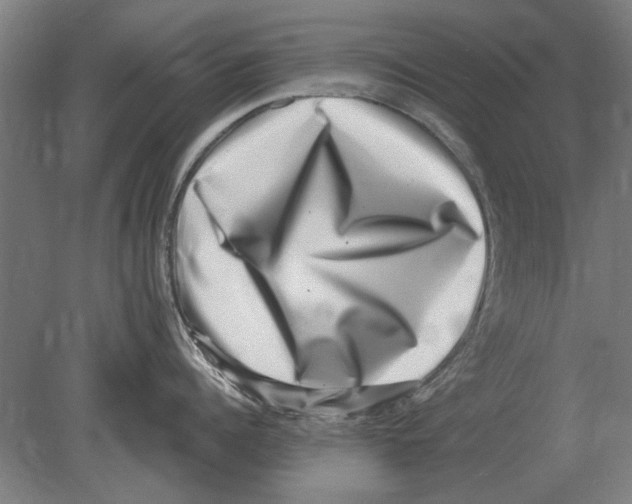 X0000080200960200701051745