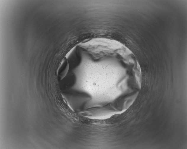 X0000080200961200701051745