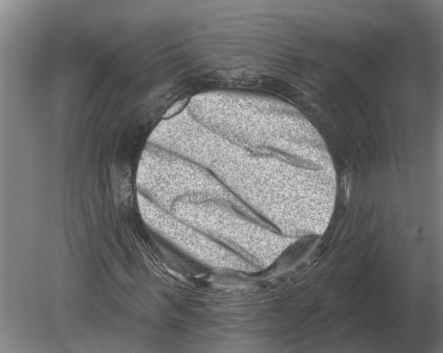 X0000080200963200701051744