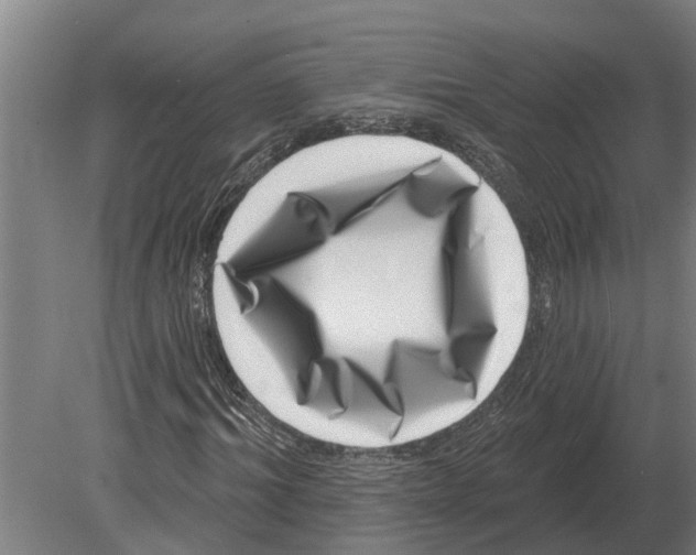 X0000080200964200701051744