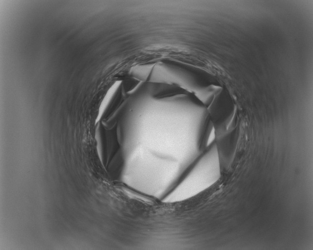 X0000080200965200701051744