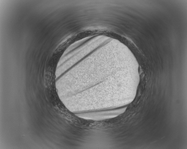 X0000080200967200701051744