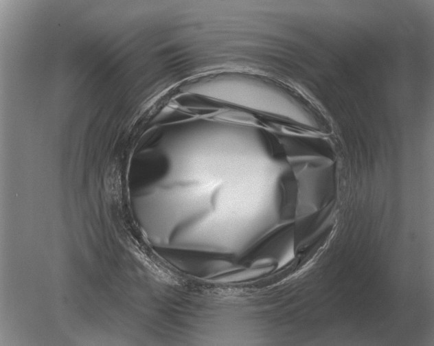 X0000080200969200701051744