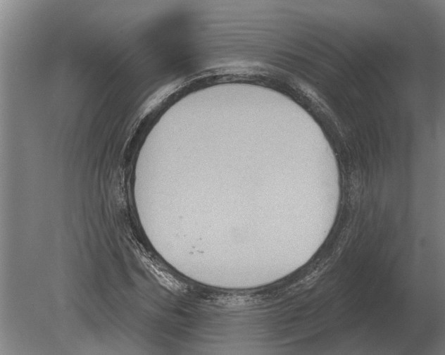 X0000080200970200701051744