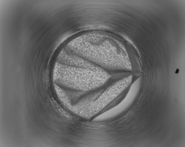 X0000080200975200701051744