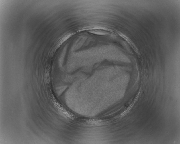 X0000080200977200701051744