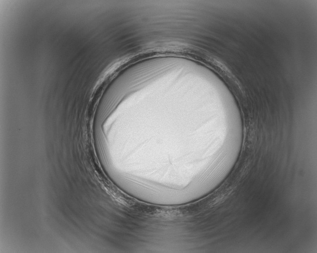 X0000080200978200701051744