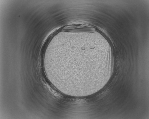 X0000080200979200701051744