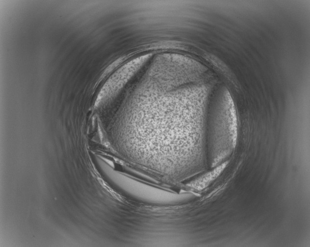 X0000080200985200701051744