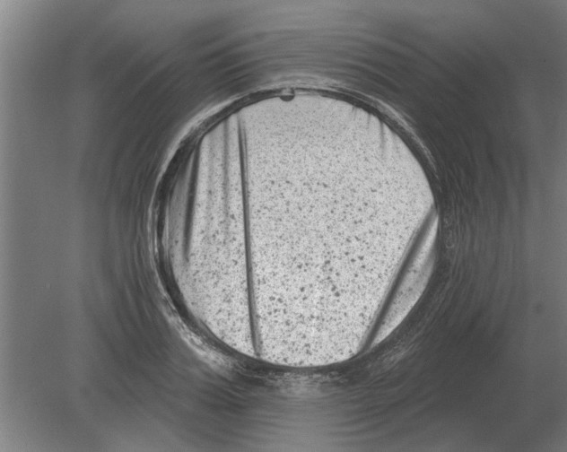 X0000080200987200701051744