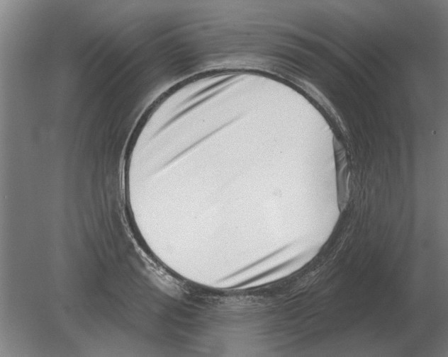 X0000080200988200701051744