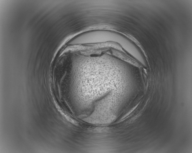 X0000080200989200701051744