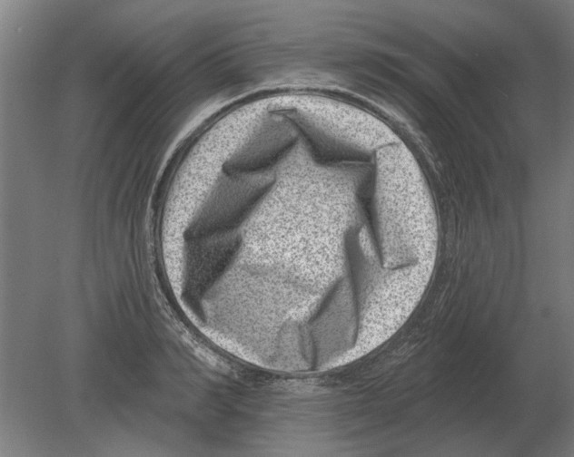 X0000080200990200701051744