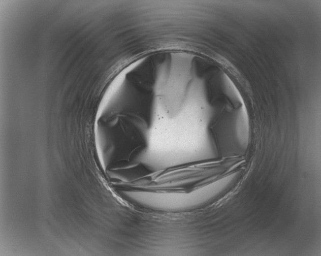 X0000080200993200701051744