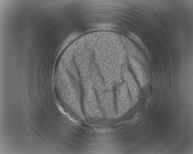 X0000080200994200701051744