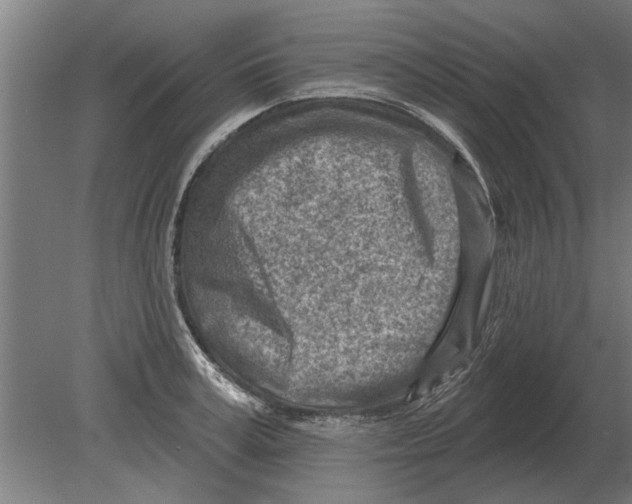 X0000080200995200701051744