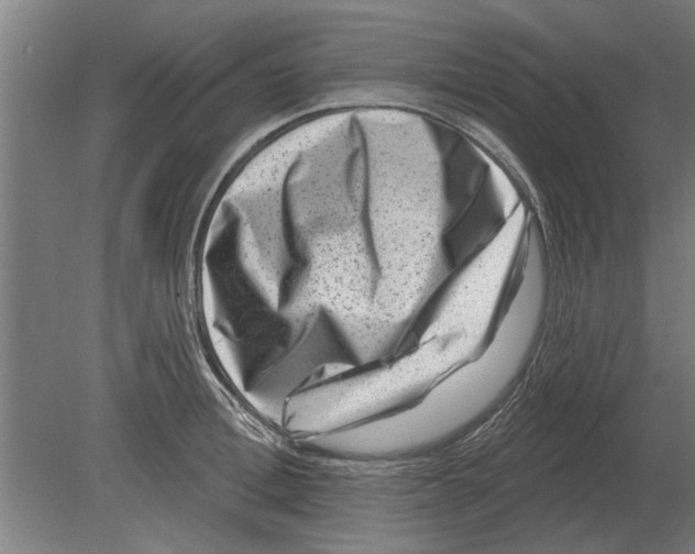 X0000080200996200701051744